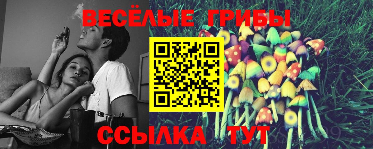 Галлюциногенные грибы Magic Shrooms Находка