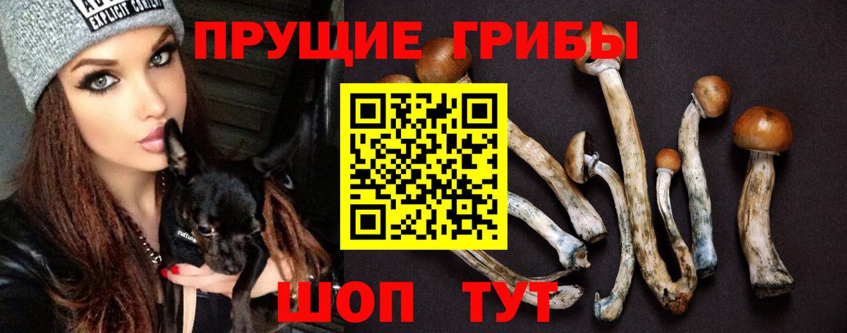 цена   Вход с VPN  Находка  Псилоцибиновые грибы Cubensis 